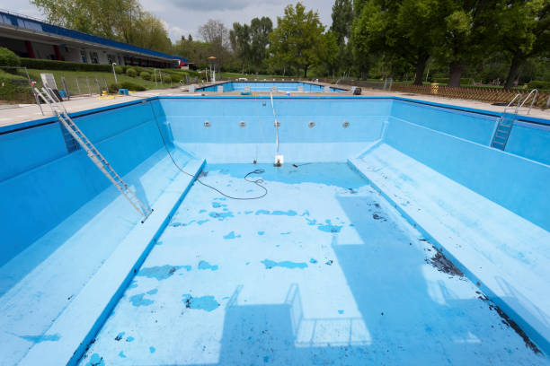 Best Flood restoration services  in Daleville, IN