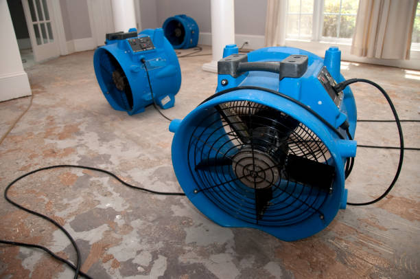 Best Water damage restoration cost  in Daleville, IN