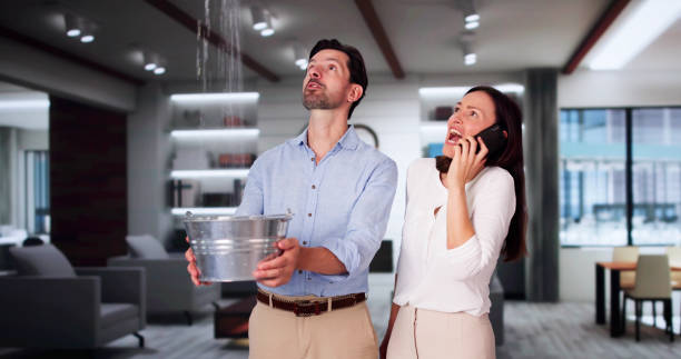Best Basement water damage restoration  in Daleville, IN
