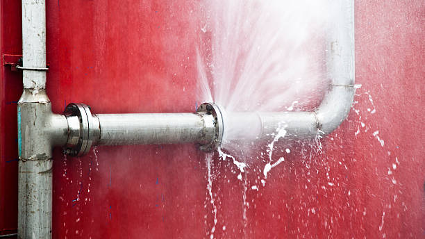 Best Water damage restoration near me  in Daleville, IN
